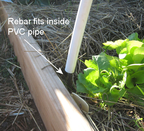 Half inch PVC pipe fits well over rebar